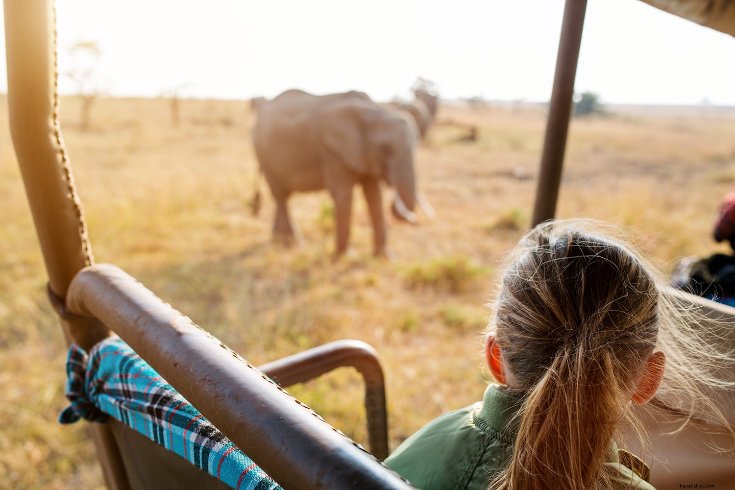 Safari epici in Sudafrica:cosa sapere prima di partire 